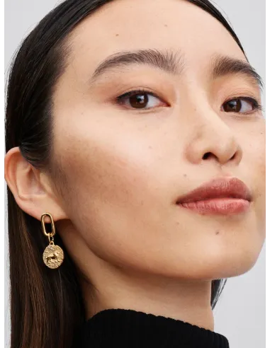 PANDORA | Løve Medaljoncharm 14 kt. guldbelægning