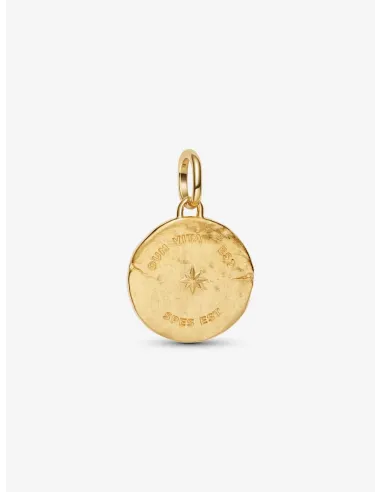 PANDORA | Svale Medaljoncharm 14 kt. guldbelægning