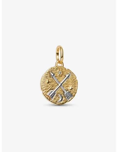 PANDORA | Krydsende Pile Medaljoncharm Sterlingsølv, 14 kt. guldbelægning