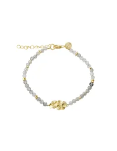 AQUA DULCE | FOLIO BRACELET | GOLDEN