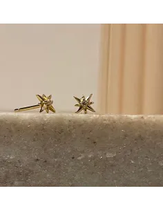 NXT.H BY HEIRING | STELLAR ØRERINGE FORGYLDT