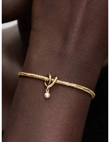 PANDORA | Snoet Hjerte Charm