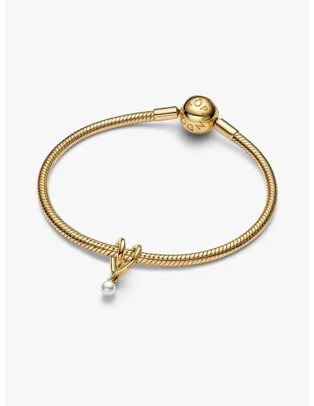 PANDORA | Snoet Hjerte Charm