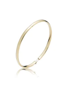 BNH | Armring American 8 kt guld