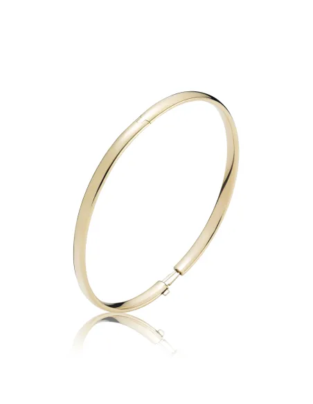 BNH | Armring American 8 kt guld