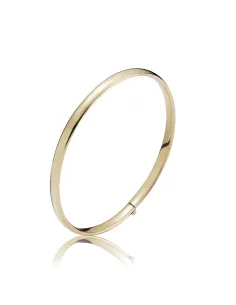 BNH | Armring American 8 kt guld 2