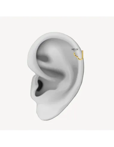 Sistie 2nd | Heart - Helix Forgyldt