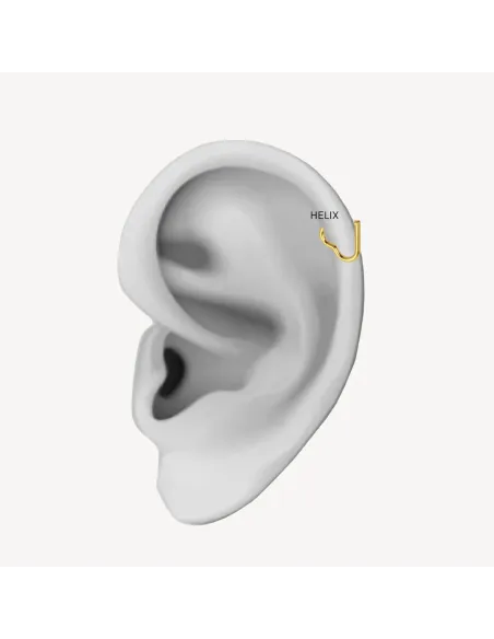 Sistie 2nd | Heart - Helix Forgyldt