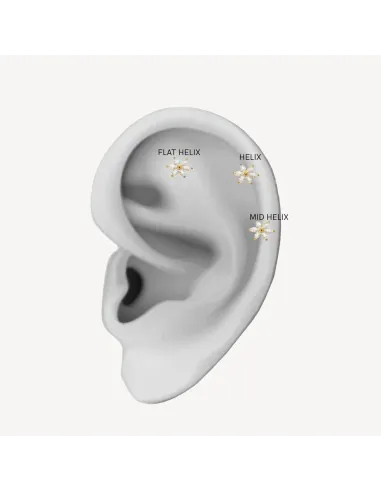 Sistie 2nd | Fnug - Helix forgyldt med zirkoner