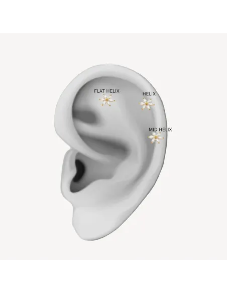 Sistie 2nd | Fnug - Helix forgyldt med zirkoner