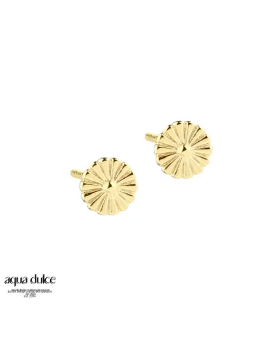 aqua dulce | TINY DAISY