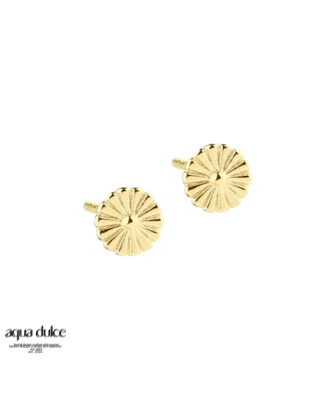 aqua dulce | TINY DAISY