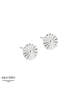 aqua dulce | TINY DAISY