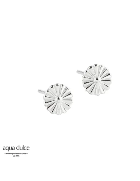 aqua dulce | TINY DAISY