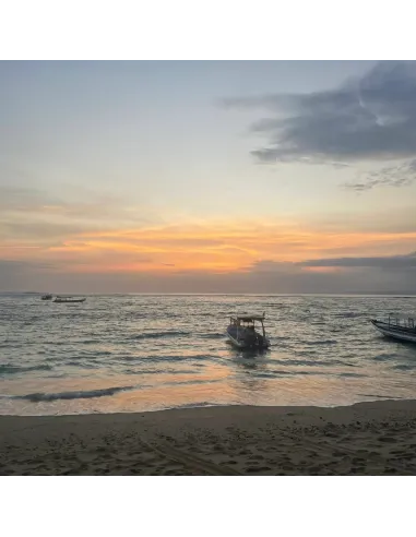 Sistie | Bali Dreams - Øreringe Forgyldt