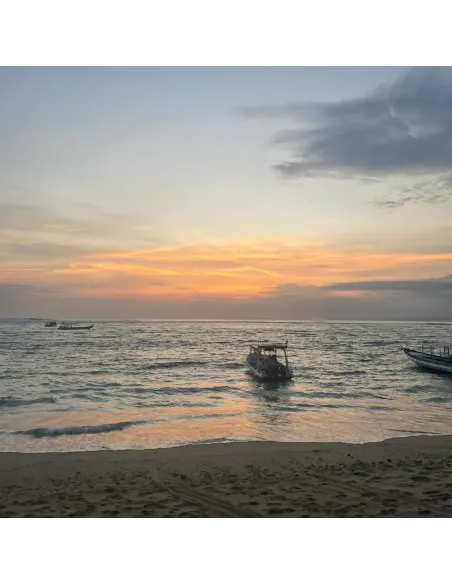 Sistie | Bali Dreams - Øreringe Forgyldt