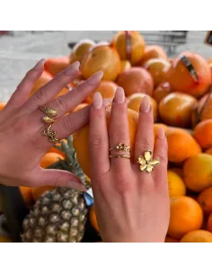 SISTIE 2ND | Celeste Ring Forgyldt 2