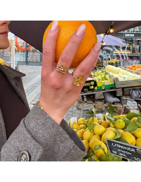 SISTIE 2ND | Celeste Ring Forgyldt