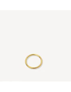 Sistie 2nd | Ringline - Helix Forgyldt