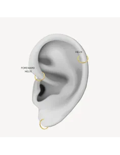 Sistie 2nd | Ringline - Helix Forgyldt 2