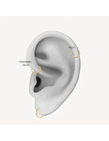 Sistie 2nd | Ringline - Helix Forgyldt