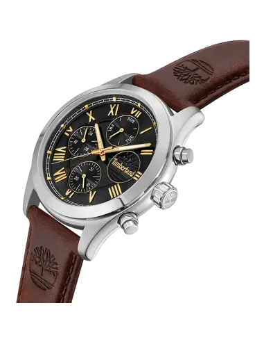 Timberland Ashmont TDWGF0082601 set skråt med sort skive, guldfarvede detaljer og læderrem