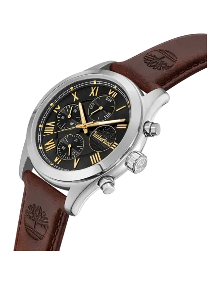 Timberland Ashmont TDWGF0082601 set skråt med sort skive, guldfarvede detaljer og læderrem