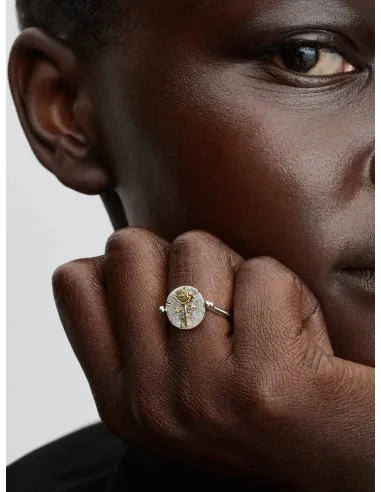 PANDORA | Rose Vendbar Medaljon Ring