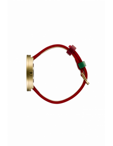 PICTO | 40 MM RED/GREEN