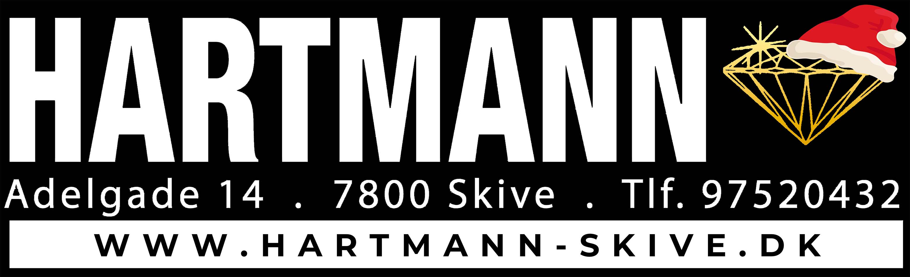 Hartmann Skive logo